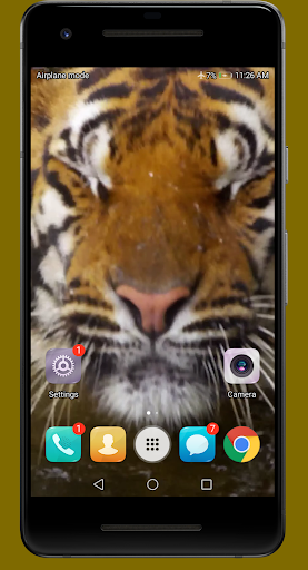 Android application Wild Life Video Wallpaper screenshort