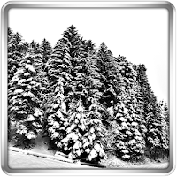 Snowfall 360 Live Wallpaper