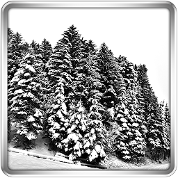 Icon image Snowfall 360° Live Wallpaper