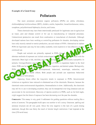 how to write a perfect hl essay