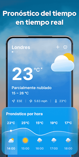 Vista previa de la aplicación