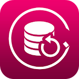 Backup Data icon