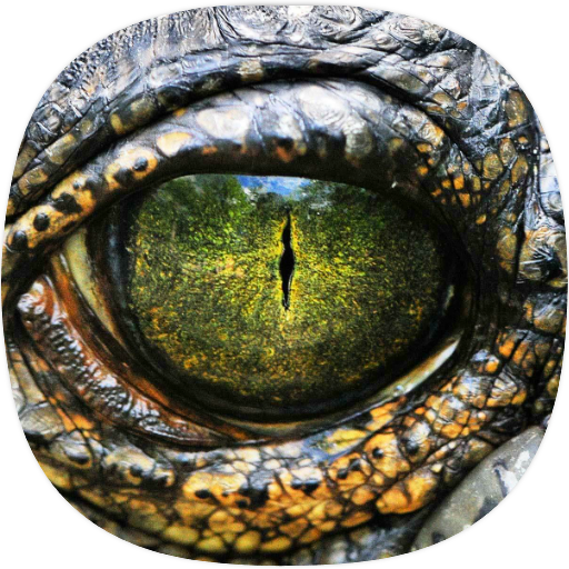 Crocodile Sounds logo