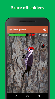 Woodpecker simulator - Screenshot 2