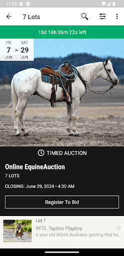EquineAuction Screen 2