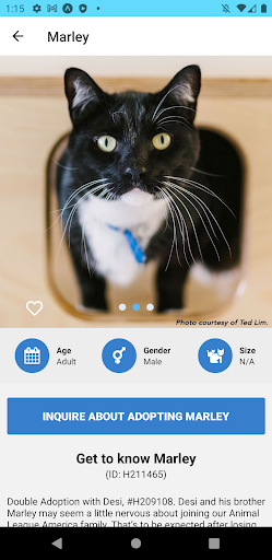 Adopt a Rescue Screen 3