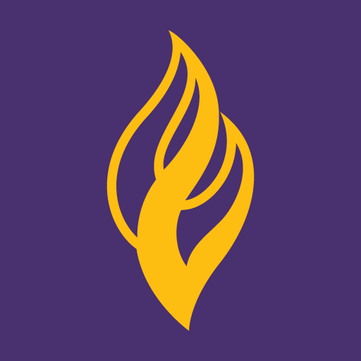 Mav Life Laai af op Windows