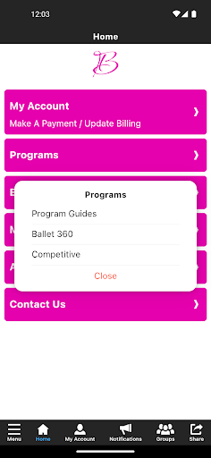 Barbs Centre For Dance Screen 3