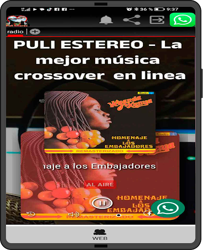 Puli Estereo Cross