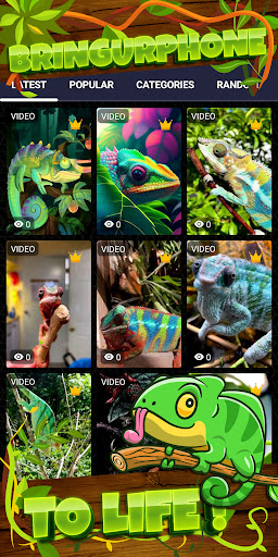 chameleon wallpaper Screenshot 2 - AppWisp.com