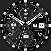 WFP 304 Business watch face