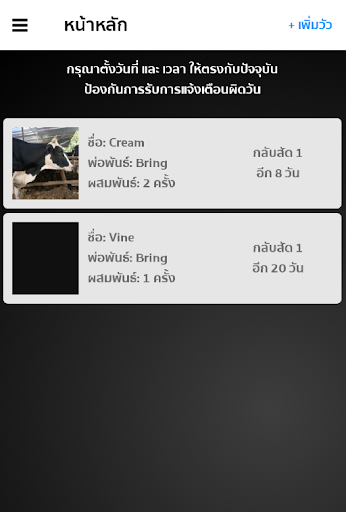 คนเลี้ยงวัว Screen 2