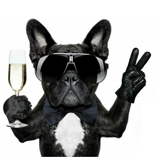 French Bulldog Wallpaper logo
