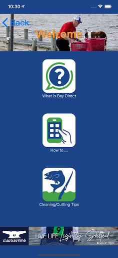 Bay Direct Screen 2