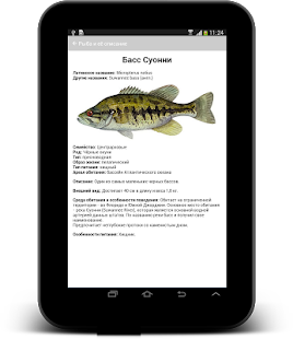 Клвая рыбалка  сообщество рыболовов Screenshot