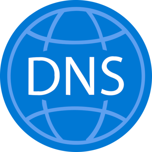 DNS Record Entry Updater logo
