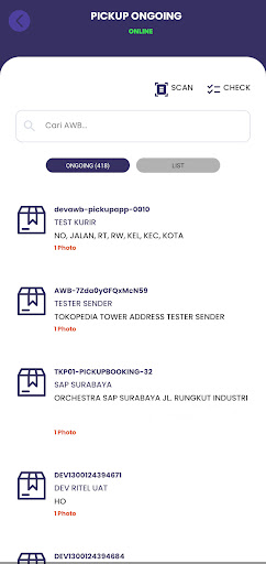 Courier SAPX Express