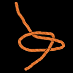 Cover Image of Download Best Knots - Animated Knots  APK