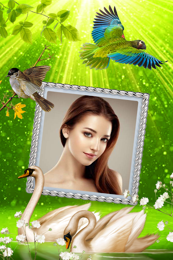 Love Bird Photo Frames Screen 2