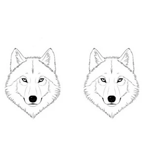 Como desenhar um lobo