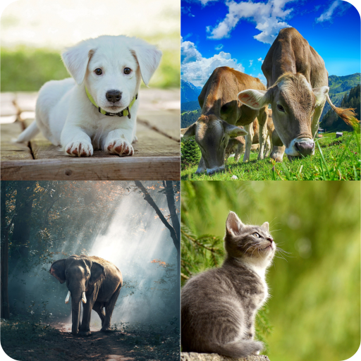 GUESS THE ANIMALS