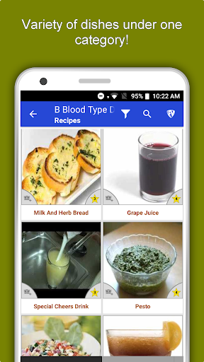 Screenshot of B Blood Type Recipes Diet Plan