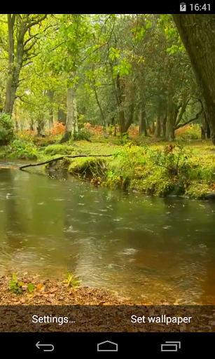 Android application Rain in the forest Video LWP screenshort