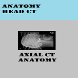 ANATOMY OF HEAD CT icon
