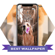Live Dogs  Wallpapers UHD