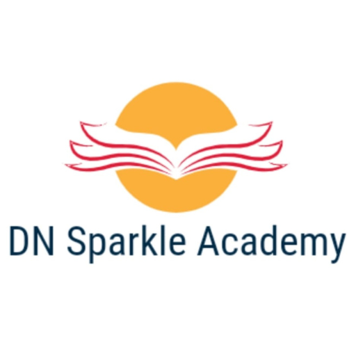 DN Sparkle Academy logo
