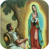 Virgen de Guadalupe Fotos icon
