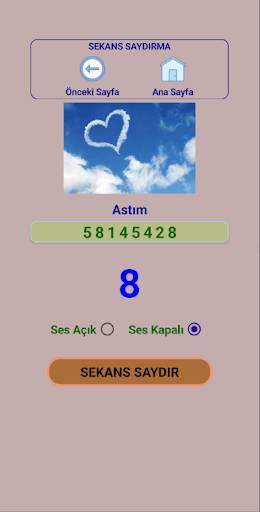 Sayı Sekansları Screen 3