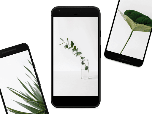 Minimalistic Nature 4K Wallpapers