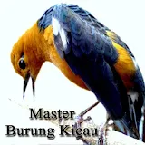 Master Burung Kicau icon