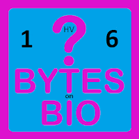 BoB Quiz 1HV6