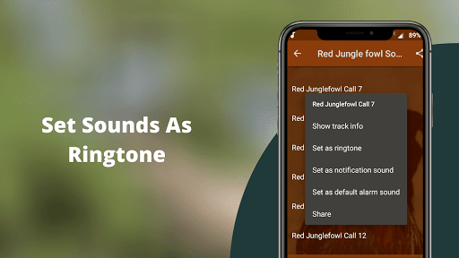 Red Junglefowl Sounds Screen 3