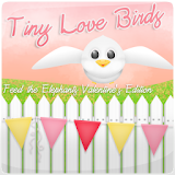 Tiny Love Birds icon