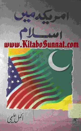 امریکہ میں اسلام