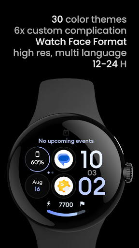 Control Dash: Wear OS face Screen 2