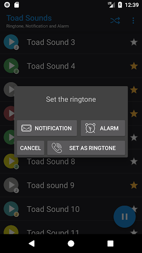 Toad Sounds Screen 3