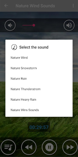 Relaxing Wind Sounds for Sleep Screen 2