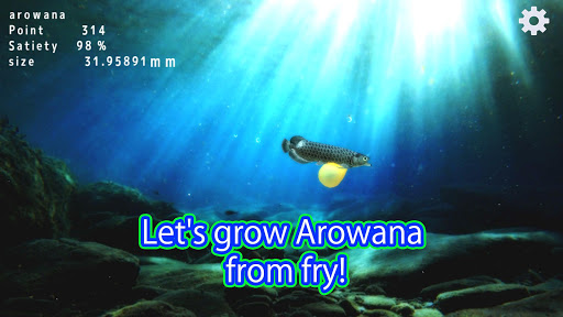 Android application Arowana raising from fry screenshort