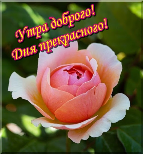 Утра доброго Дня прекрасного