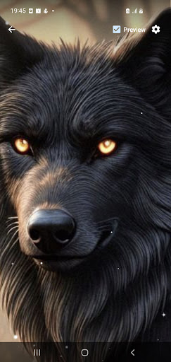 Black Wolf Live Wallpaper Screen 2