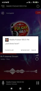 Radio Pulsar 100.5 FM
