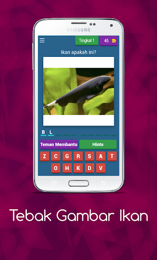 Android application Tebak Gambar Ikan screenshort