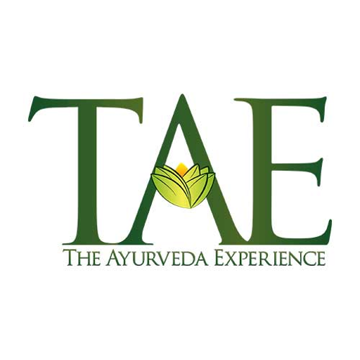 The Ayurveda Experience India logo