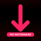 Like Video Downloader No Logo
