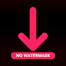 Like Video Downloader No Logo icon
