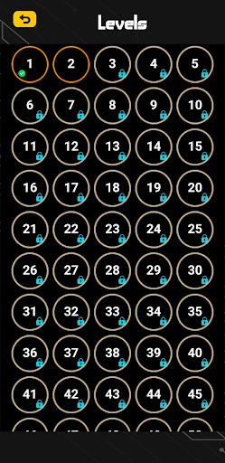 Ball Puzzle Game Screen 3